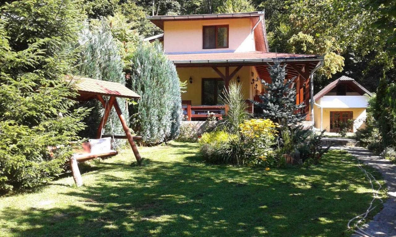 Treehouse Vila Padurea Neagra Exterior foto